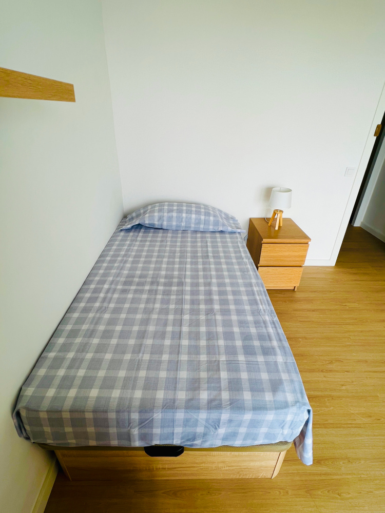 vall de boi_5